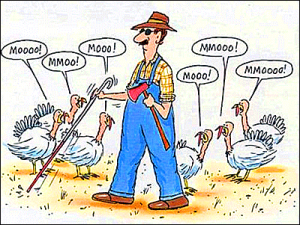 075-thanksgiving-cartoon