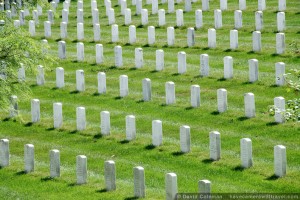 j136191919-headstones-arlington-national-cemetery-arlington-national-cemetery-arlington